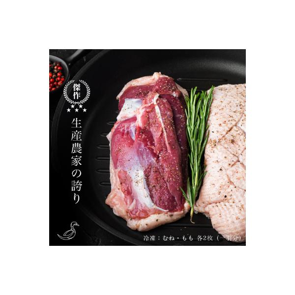 もがみの地で育った特別な鴨 一羽セット