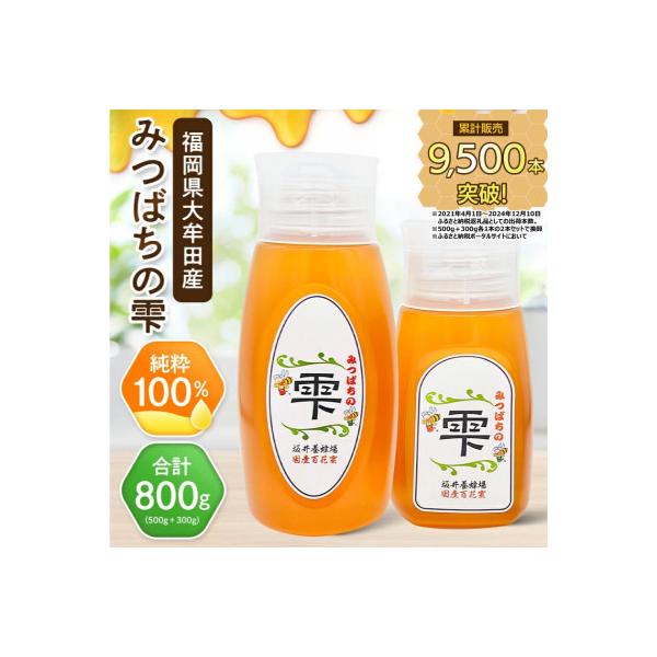 ふるさと納税 大牟田市 坂井養蜂場　みつばちの雫　500g+300g(合計800g)国産蜂蜜