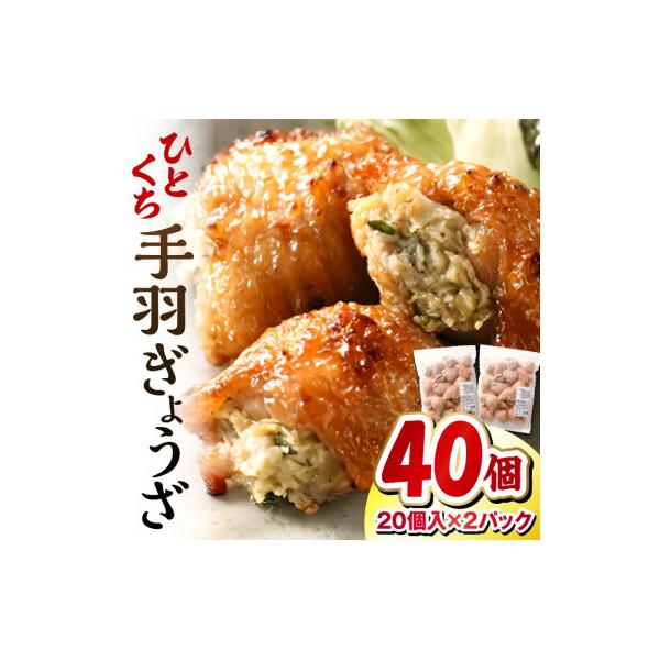 ひとくち手羽餃子(ぎょうざ)660g 20個入×2パック