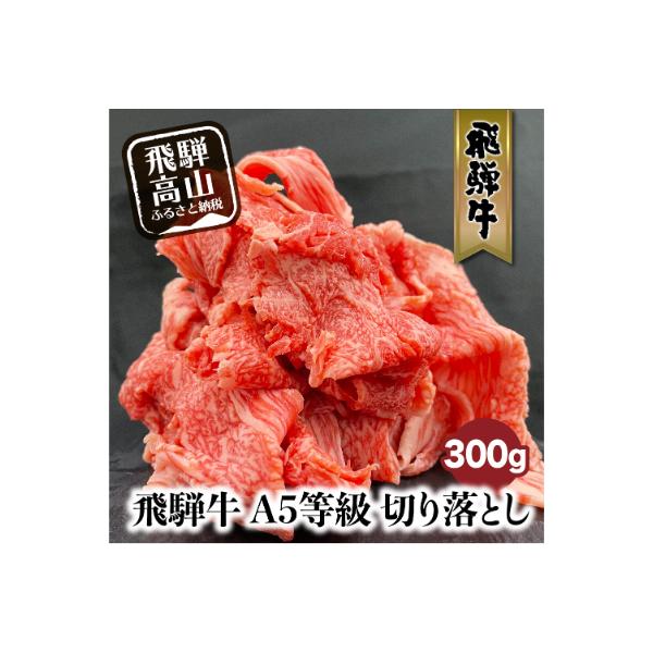 A-5等級飛騨牛切り落とし　300g　FH001VP