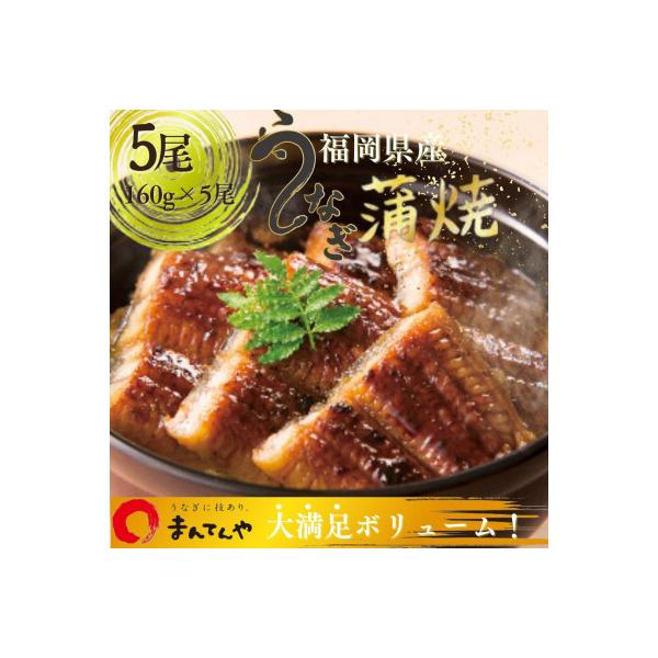 福岡県産うなぎ蒲焼大5尾(合計800g)
