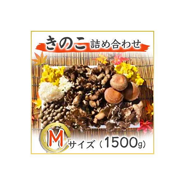 きのこの詰め合わせ　Mサイズ(1.500g)