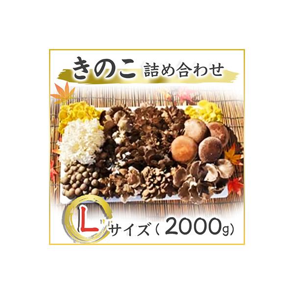 きのこの詰め合わせ　Lサイズ(2.000g)