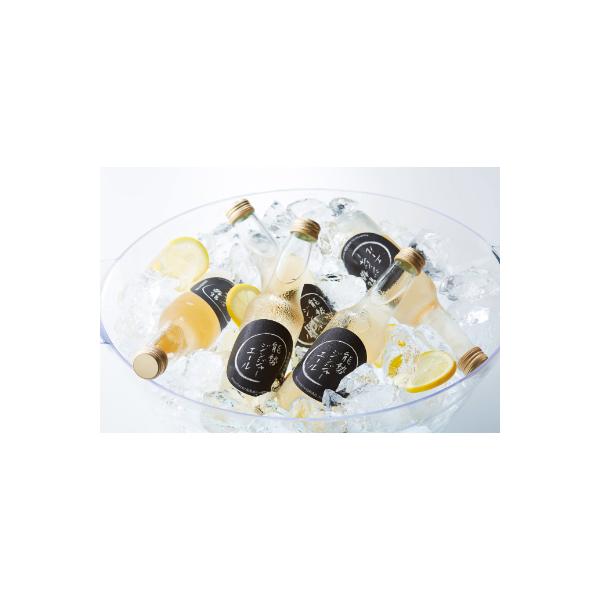 お酒にも合うちょっと大人な「能勢ジンジャーエール」250ml×24本
