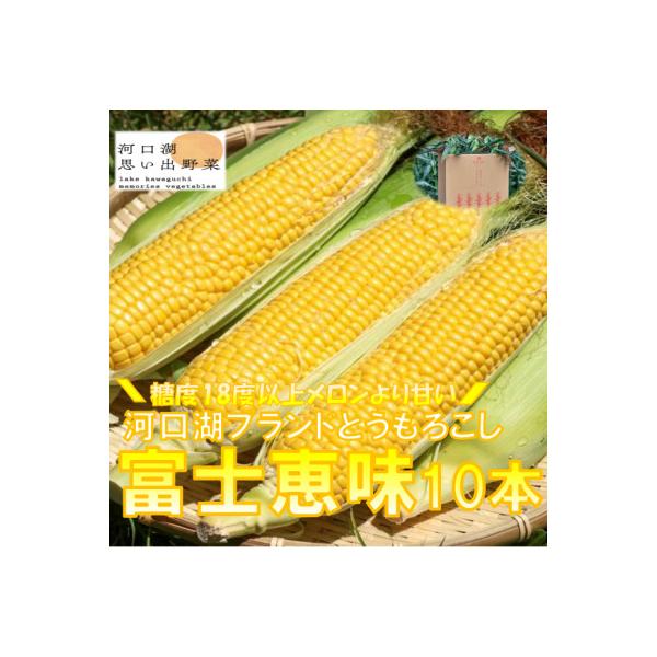 【2026年7月下旬より発送】糖度18度以上!一度食べたらやみつき富士恵味とうもろこし10本セット