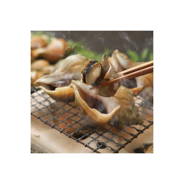 小林さん家の宗谷岬産つぶ煮　2kgセット