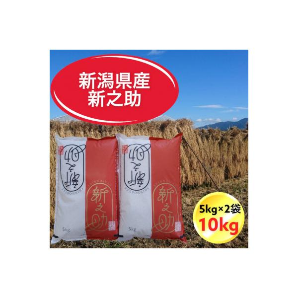 令和7年産　新潟県胎内市産新之助10kg(5kg×2袋)(精米)