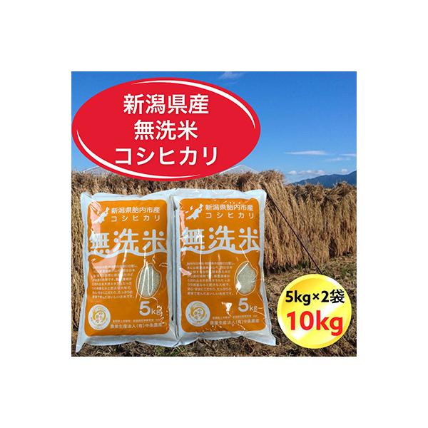 令和7年産　新潟県胎内市産コシヒカリ無洗米10kg(5kg×2袋)