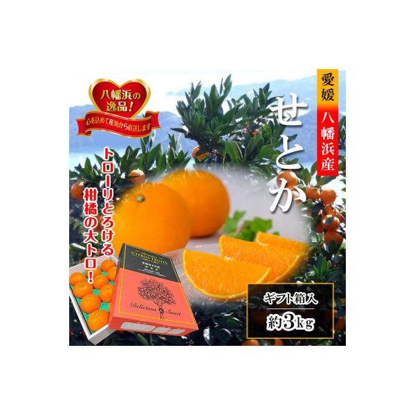 ふるさと納税 八幡浜市 長岡農園の「せとか」約3kg 【C39-6】 :1262187:さとふる - 通販 - Yahoo!ショッピング ふるさと納税 八幡浜市 長岡農園の「せとか」約3kg 【C39-6】 :1262187:さとふる - 通販 - Yahoo!ショッピング