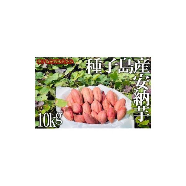 種子島産安納芋 10kg