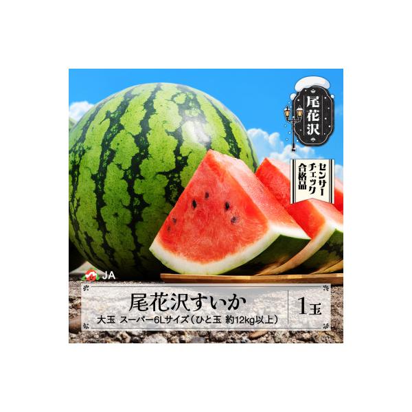 尾花沢すいか スーパー6Lサイズ(約12kg以上)×1玉 令和8年産 JA ja-sus6x1