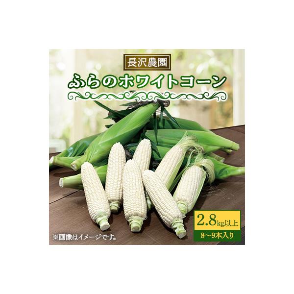 【2026年発送】富良野 ホワイトコーン 2.8㎏(8～9本)スイートコーン　とうもころし