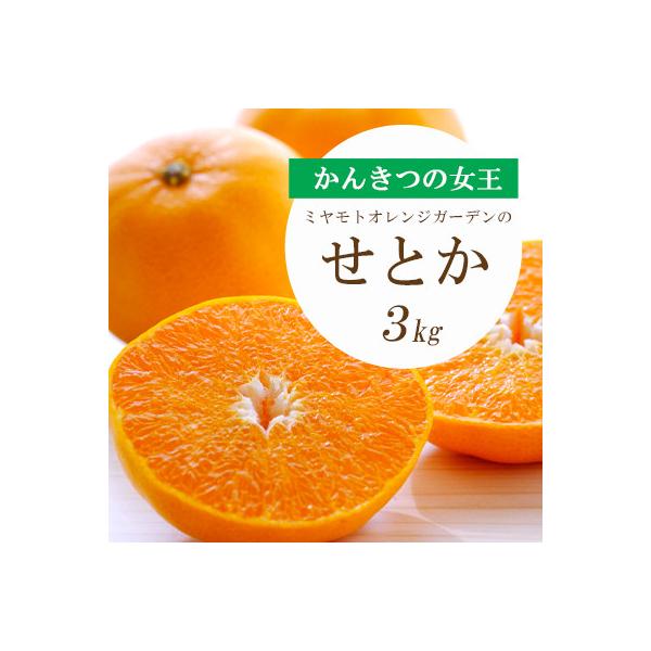 【先行受付】とろける濃厚柑橘 せとか 3kg 愛媛県八幡浜産【E25-9】