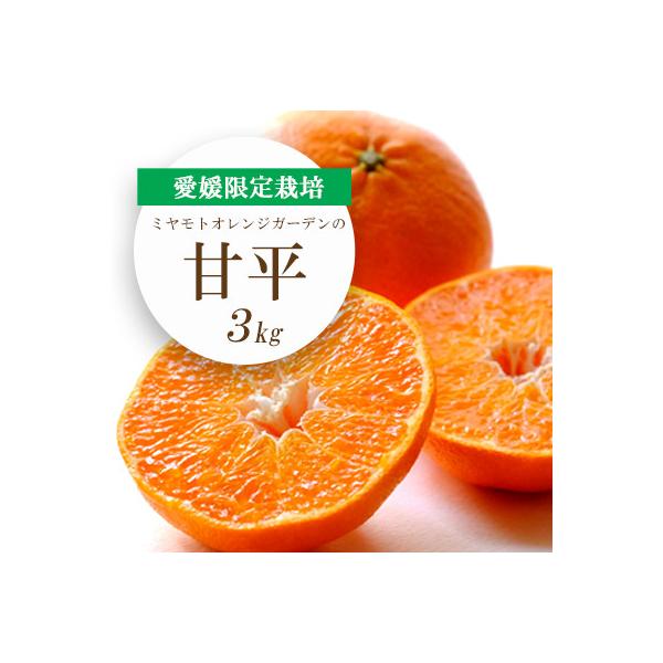 【先行受付】愛媛限定栽培柑橘 甘平(かんぺい)3kg【F25-8】
