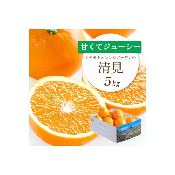 果汁たっぷり ジューシー 清見 5kg │ 愛媛県八幡浜市産【E25-126】