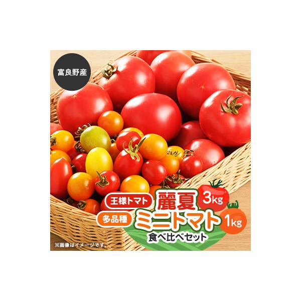 【2026年発送】王様トマト麗夏3kg&多品種ミニトマト1kg食べ比べセット