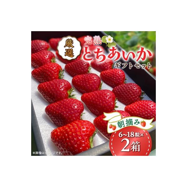 とちあいかギフトセット【鈴木いちご園】厳選・完熟・朝摘み　とちあいか贈答用　2箱