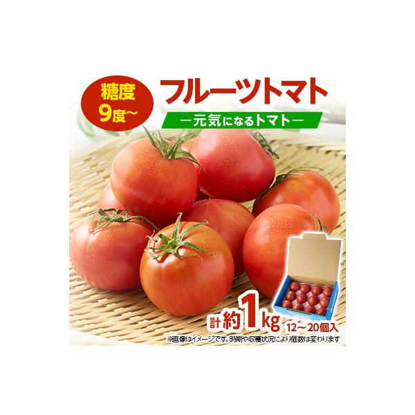 佐野市 元気になるトマト【フルーツトマト】