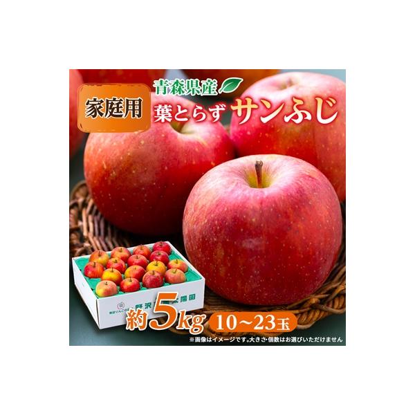 青森市産りんご「葉取らずサンふじ」約5kg(家庭用)