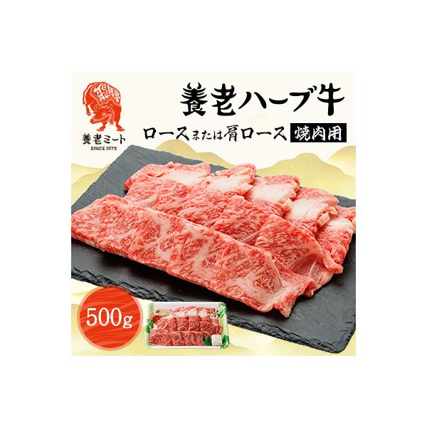 養老ハーブ牛　ロースまたは肩ロース　焼肉用　500g