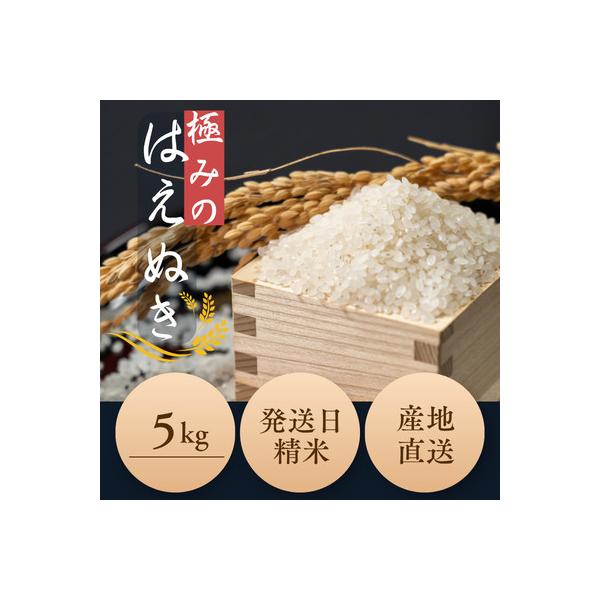 新米　極のはえぬき(精米)5kg　令和8年産