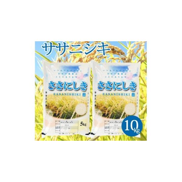 【令和7年産米】【山形県庄内産】ササニシキ5kg×2袋計10kg