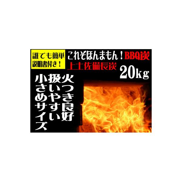 ふるさと納税 東洋町 BBQ炭・上土佐備長炭 20kg(扱いやすい小さめ