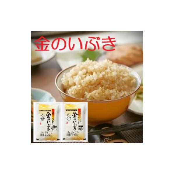 【令和7年産】金のいぶき 4kg(2kg×2袋)　玄米