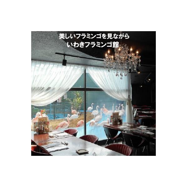 ■お礼品詳細　・配送種別：通常　・提供元：株式会社メヒコ（いわき市）■お申し込み・配送・その他　・発送時期：お申込みから1週間程度で順次発送予定(お届け時間帯指定可)　・申込受付期間：通年　・配達外のエリア：　・寄付証明書の送付時期目安：入...