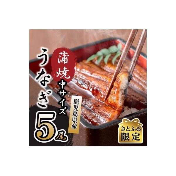 【さとふる限定】鹿児島県産 伊崎田のうなぎ蒲焼 中5尾(合計750g～845g)