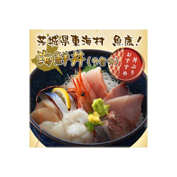 ■お礼品詳細　・配送種別：通常　・提供元：有限会社　魚康■お申し込み・配送・その他　・発送時期：2022/01/19よりお申し込み後1〜2週間程度で順次発送予定(お届け時間帯指定可)　・申込受付期間：通年　・配達外のエリア：　・寄付証明書の...