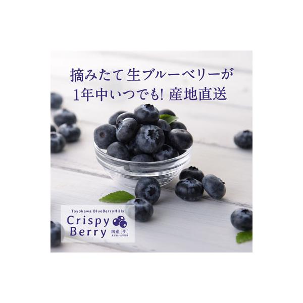 【日本でここだけ!】春夏秋冬いつでも旬のブルーベリー〈クリスピーベリー〉 100gパック×3