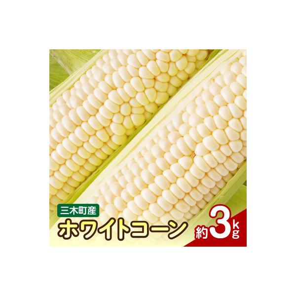 ■お礼品詳細　・配送種別：冷蔵便　・提供元：株式会社五色青果（三木町）■お申し込み・配送・その他　・発送時期：2026-06-08〜2026-07-14(お届け時間帯指定可)　・申込受付期間：〜2026-06-28　・配達外のエリア：離島、...