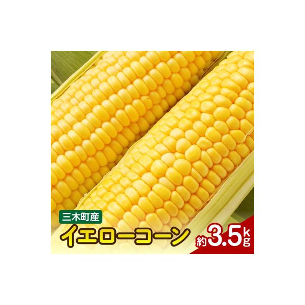 ■お礼品詳細　・配送種別：冷蔵便　・提供元：株式会社五色青果（三木町）■お申し込み・配送・その他　・発送時期：2026-06-05〜2026-07-14(お届け時間帯指定可)　・申込受付期間：〜2026-06-28　・配達外のエリア：離島、...