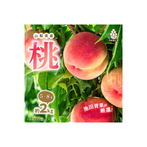 【2026年発送】 桃 約2kg (5玉~8玉) 厳選 ! 池田青果の もも