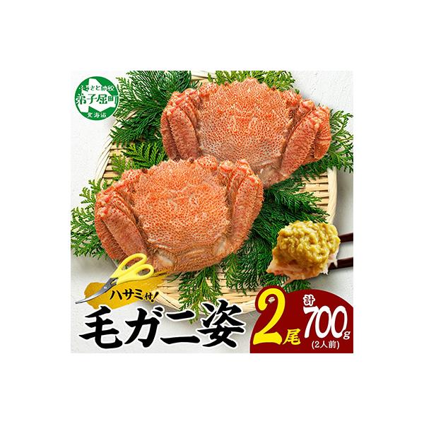 毛蟹 姿 2尾 計700g前後 ボイル 食べ方ガイド・専用ハサミ付 北海道 弟子屈町 3334