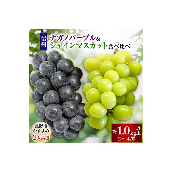 【2026年先行受付】ナガノパープル&シャインマスカット食べ比べセット(計1.0kg以上)