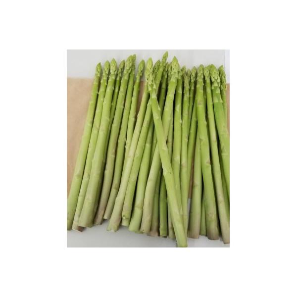 ■お礼品詳細　・配送種別：冷蔵便　・提供元：アリオネロまんのう工場■お申し込み・配送・その他　・発送時期：2026-02-10〜2026-02-27(お届け時間帯指定可)　・申込受付期間：〜2026-02-20　・配達外のエリア：離島　・寄...