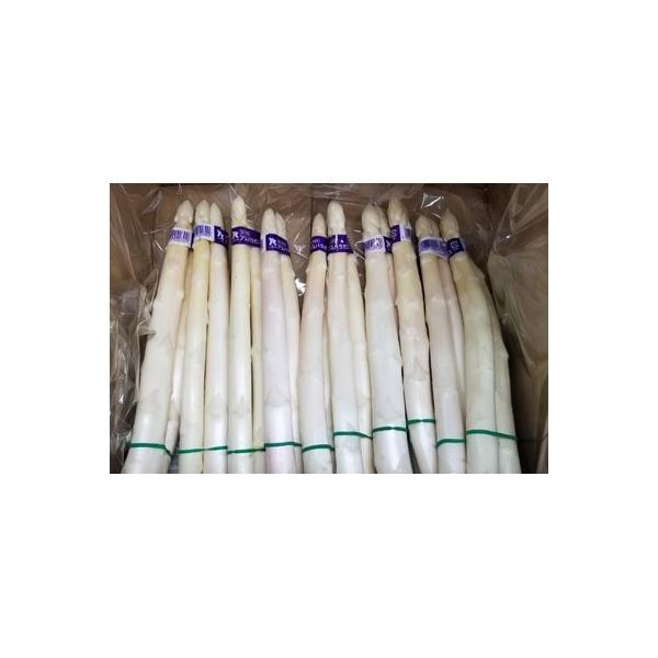 ■お礼品詳細　・配送種別：冷蔵便　・提供元：アリオネロまんのう工場■お申し込み・配送・その他　・発送時期：2026-03-05〜2026-09-29(お届け時間帯指定可)　・申込受付期間：〜2026-09-10　・配達外のエリア：離島　・寄...