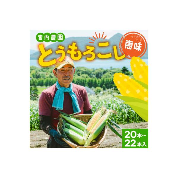 <先行予約>北海道産 朝採れ とうもろこし 恵味 めぐみ 2L 20～22本 2026年7月下旬～