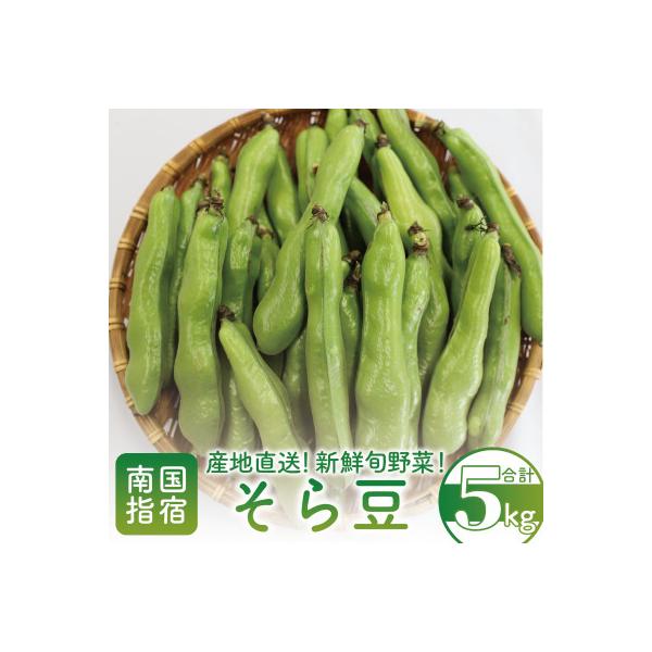 2025年3月上旬頃～発送【産地直送!新鮮旬野菜!】ご家庭用そら豆約5kg(A-414)