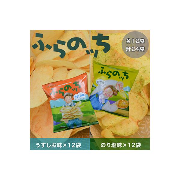 北海道ふらの産　ポテトチップス　ふらのっち【うすしお味・のり塩味　各12袋】計24袋