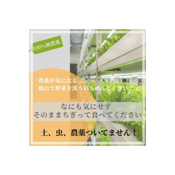 ■お礼品詳細　・配送種別：冷蔵便　・提供元：はぴねすファーム■お申し込み・配送・その他　・発送時期：2026-01-09より順次発送 ※生産・天候・交通等の事情により遅れる場合があります。(お届け時間帯指定可)　・申込受付期間：通年　・配達...