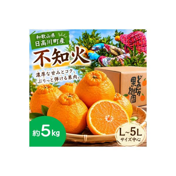 【貯蔵熟成】プリッとした食感　どの坂果樹園　不知火5kg(L～5Lサイズ中心)　/和歌山県日高川町産