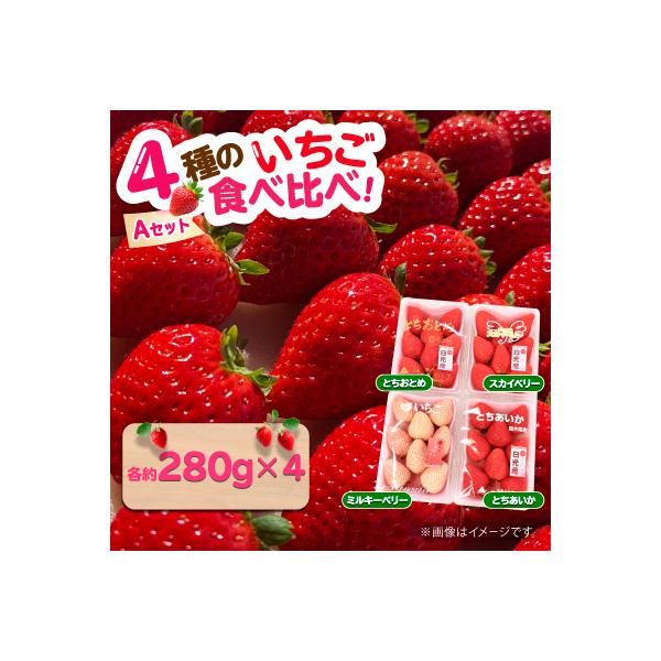 4種のいちご食べ比べ!とちおとめ,スカイベリー,ミルキーベリー,とちあいかのAセット[各約280g]