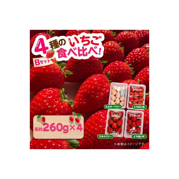 4種のいちご食べ比べ!とちおとめ,スカイベリー,ミルキーベリー,とちあいかのBセット[各約260g]