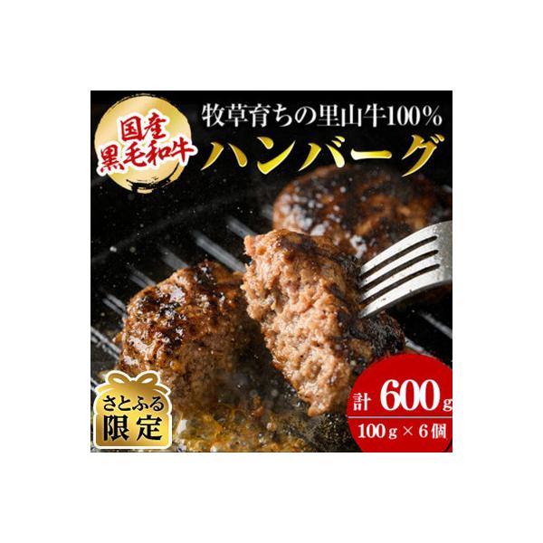 【さとふる限定】国産黒毛和牛 牧草育ちの里山牛100%使用!手作りハンバーグ600g(100g×6)