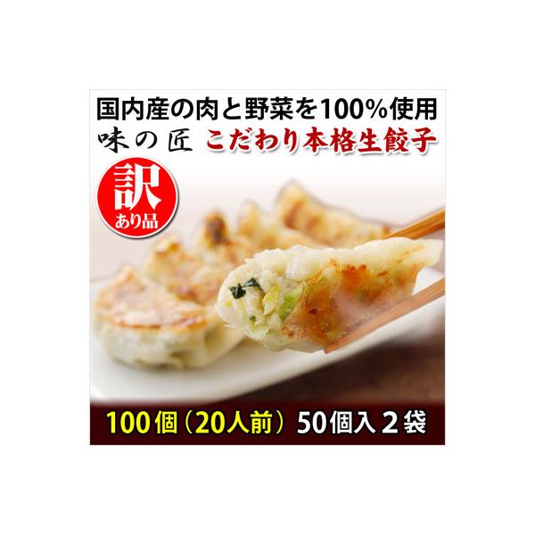 【訳あり品】こだわり本格生餃子100個(20人前)