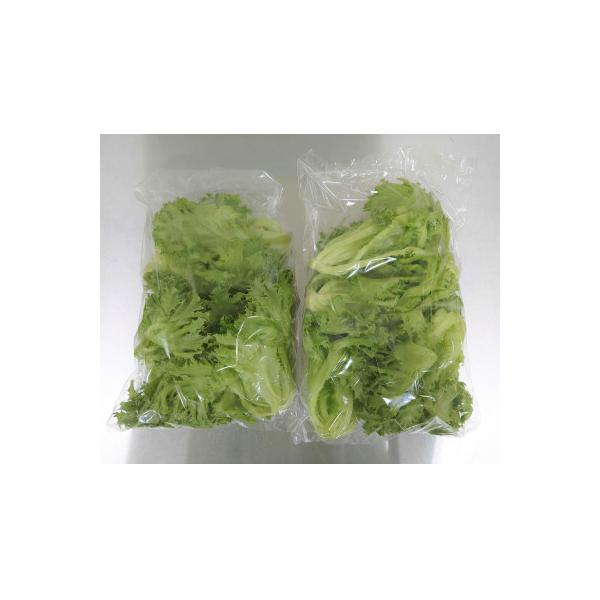 ■お礼品詳細　・配送種別：冷蔵便　・提供元：ＩＣＴＶスマイル農場■お申し込み・配送・その他　・発送時期：お申し込み後1週間程度で順次発送予定(お届け時間帯指定可)　・申込受付期間：通年　・配達外のエリア：離島　・寄付証明書の送付時期目安：申...