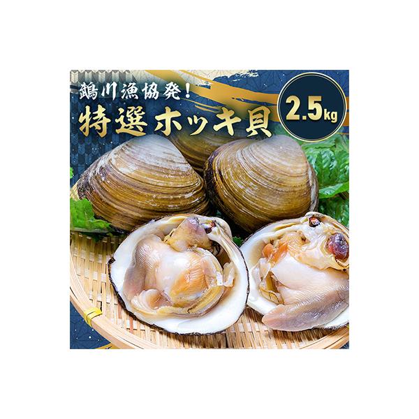鵡川漁協発!特選ホッキ貝(2.5kg)